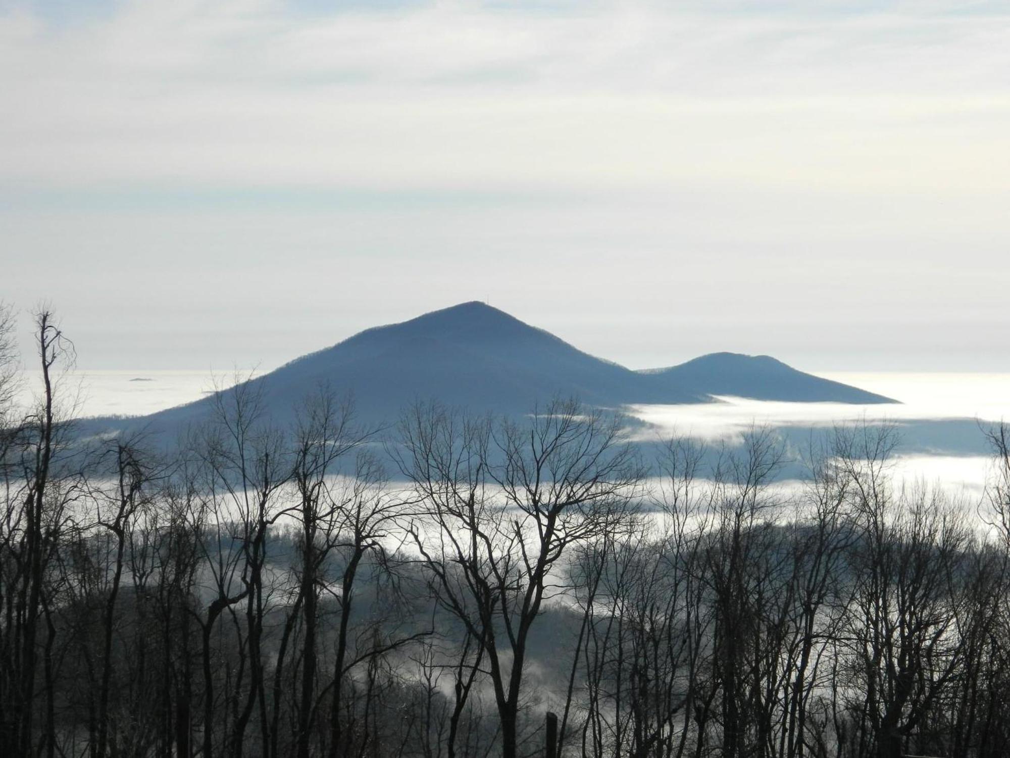 Bent Mountain Lodge Roanoke Extérieur photo