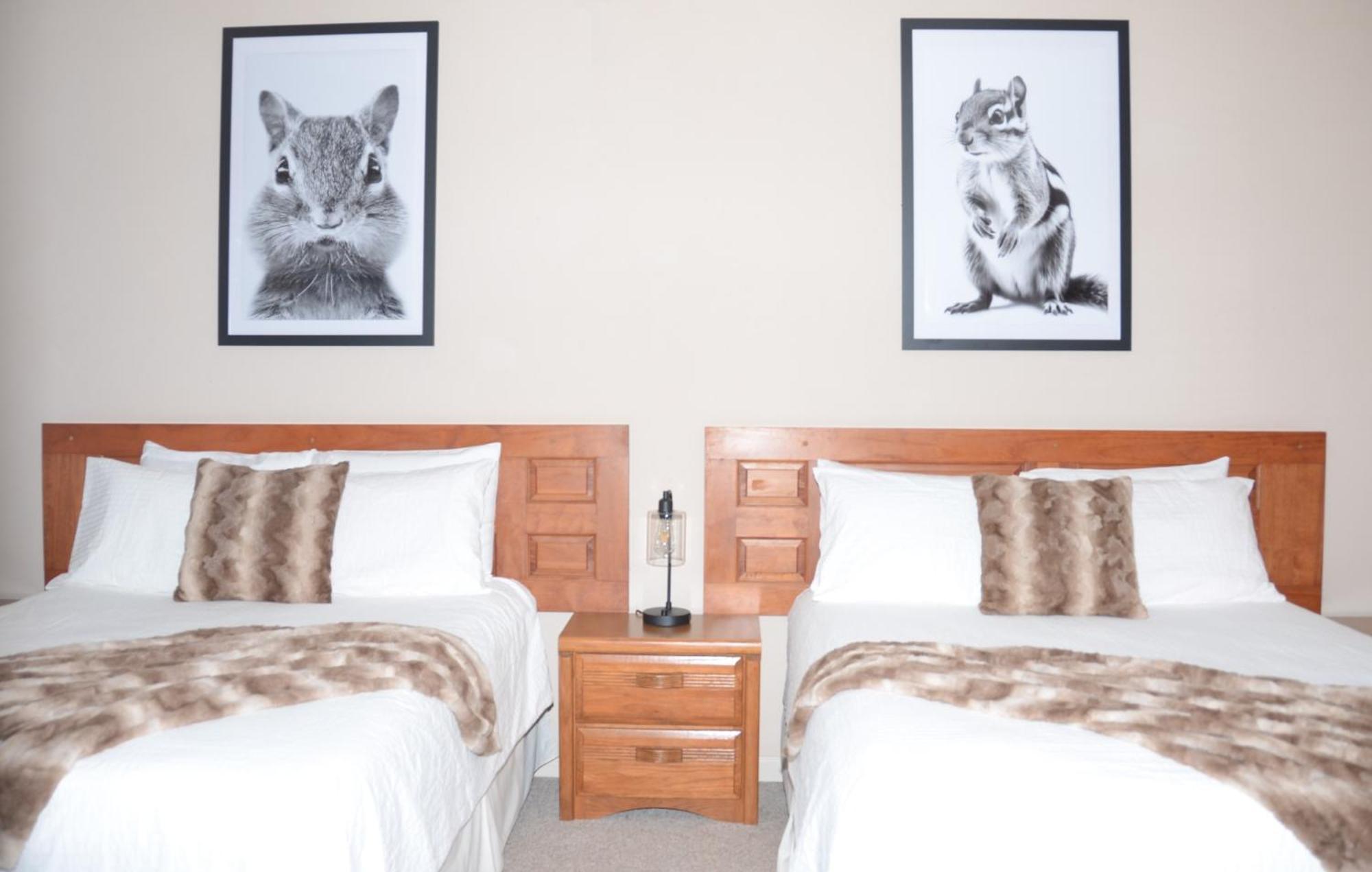 Bent Mountain Lodge Roanoke Extérieur photo