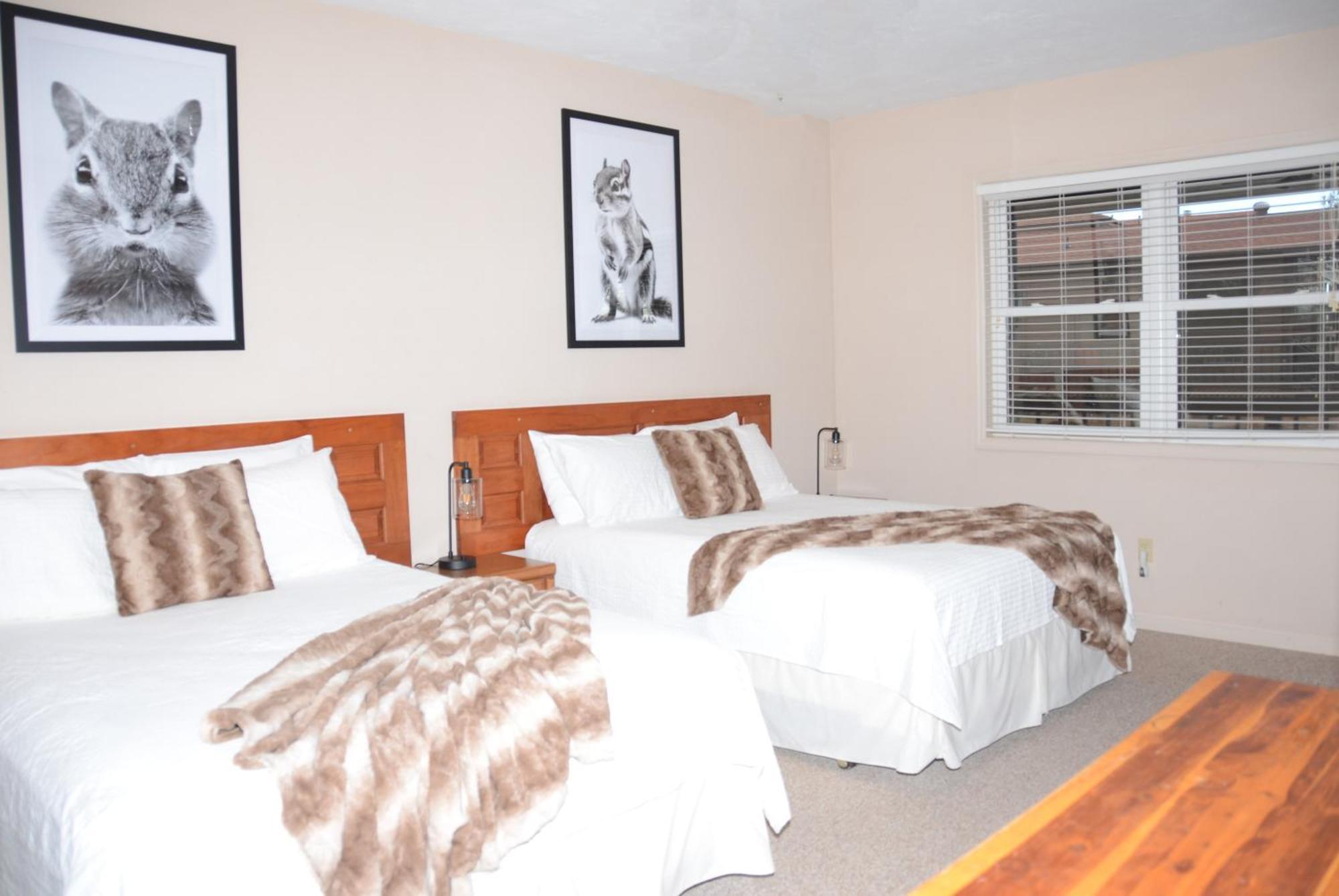 Bent Mountain Lodge Roanoke Extérieur photo