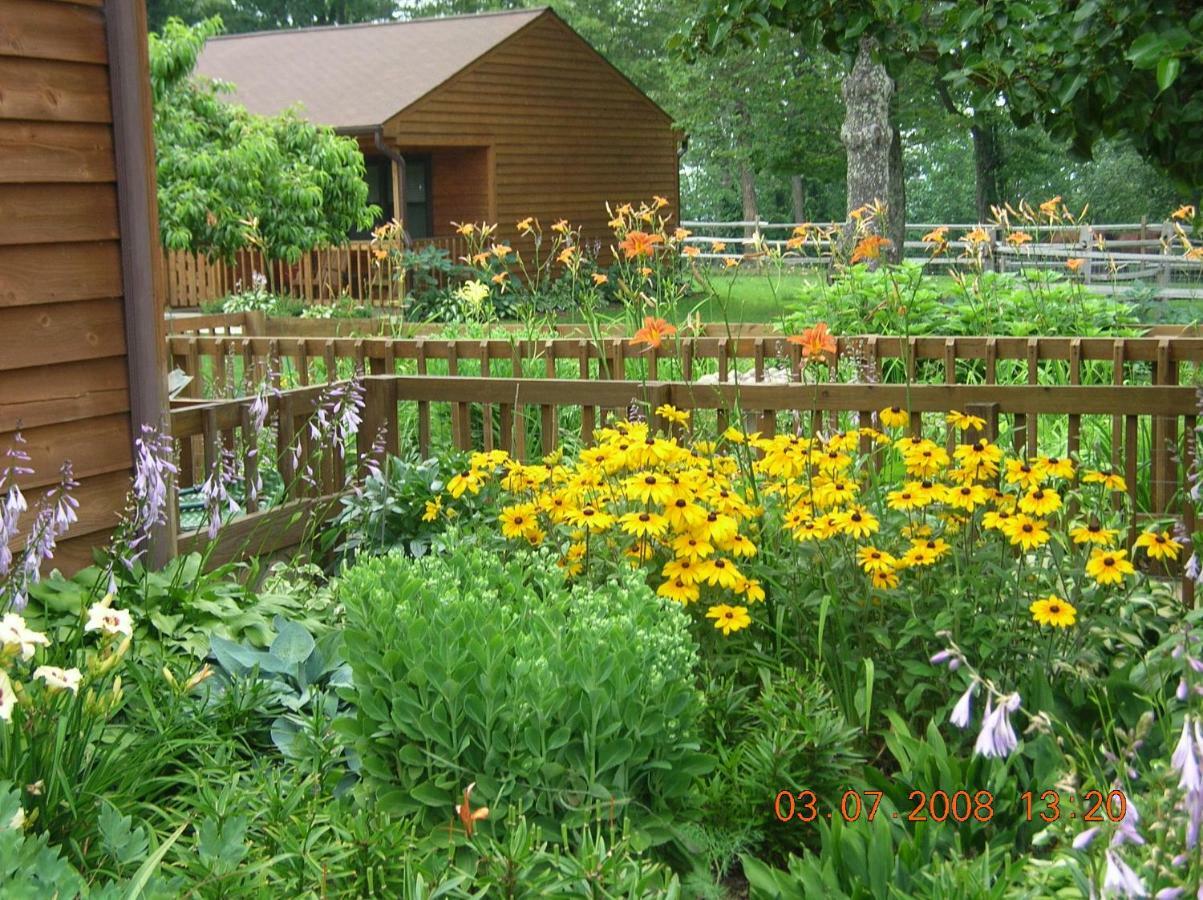 Bent Mountain Lodge Roanoke Extérieur photo
